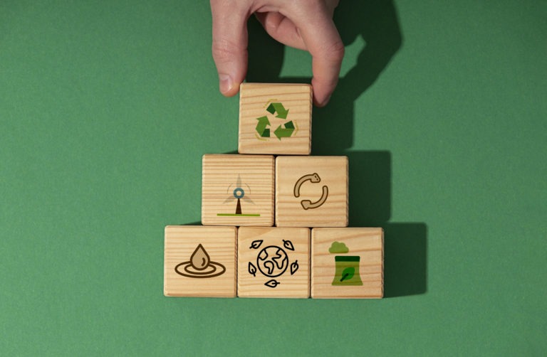 objectifs developpement durable nature morte