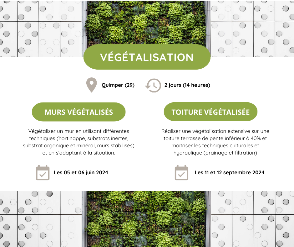 vegetalisation 2