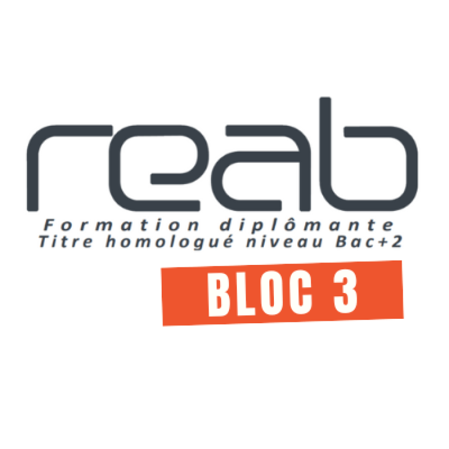reab 3