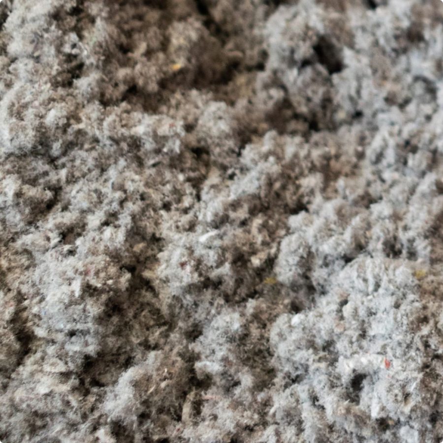 ouate de cellulose